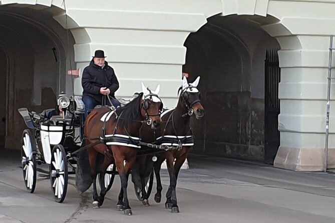 2-Hour Guided Tour in the Footsteps of Princess Sissi in Vienna - Tips to get more out of the stops