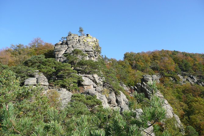 2-hour Private Alpine Hiking Tour on Seekopf Mountain, Wachau Valley from Vienna - Price and value: is $184.20 per person a fair deal?
