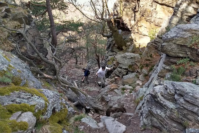 2-hour Private Alpine Hiking Tour on Seekopf Mountain, Wachau Valley from Vienna - Weather rules: what to do with rain, cold, and winter conditions