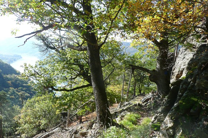 2-hour Private Alpine Hiking Tour on Seekopf Mountain, Wachau Valley from Vienna - The 2-hour private hike: rock formations, the Danube below, and the Seekopf tower