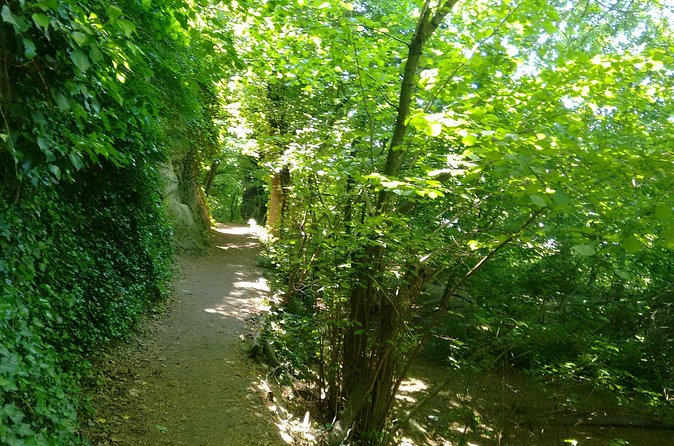 2-Hour Private Hiking Tour to Meet History at Braunsberg Mountain from Vienna - Tunnels, ruins, and the Celtic palisade replica stop