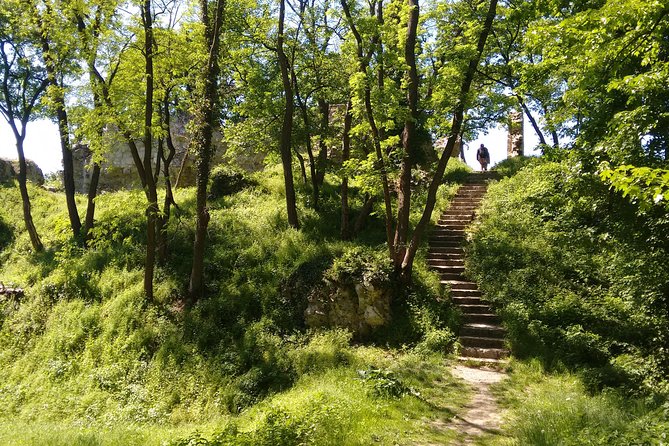 2-Hour Private Hiking Tour to Meet History at Braunsberg Mountain from Vienna - Timing and weather, the two things that affect your comfort most