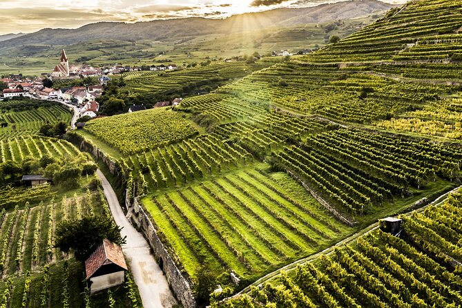 3 Castles & Wine Private Tour in Wachau Valley (incl. Melk Abbey) - Back to Vienna: that post-wine calm and how to use the evening