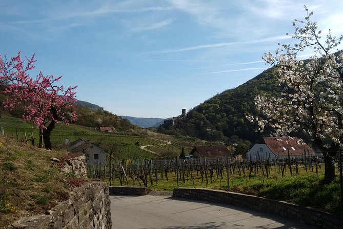 3-Hour Private Hiking Tour to historic places around Spitz in Wachau Valley - Red Gate viewpoint: the Danube valley opens up