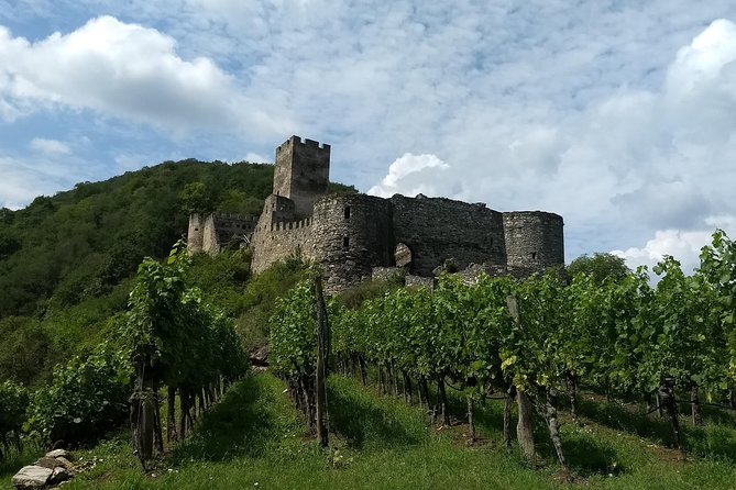 3-Hour Private Hiking Tour to historic places around Spitz in Wachau Valley - The circular walk around Spitz: vineyards, fruit trees, and three short climbs