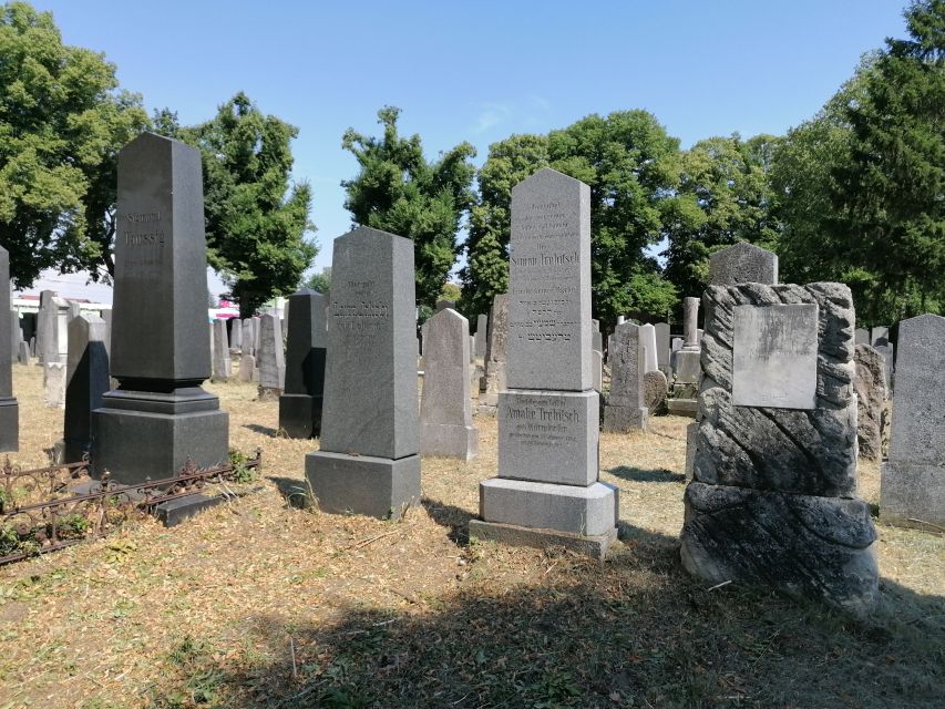 3-Hour Walking Tour of Vienna Central Cemetery - Karl Lueger Memorial Church: Art Nouveau that you can feel while standing there