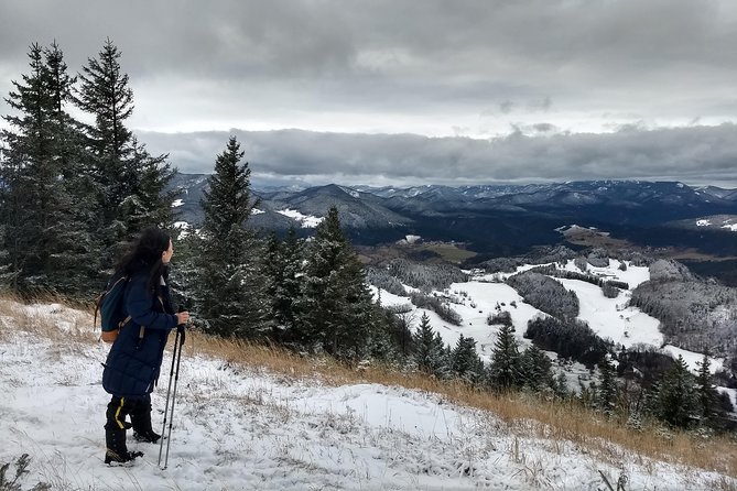 4-Hour Private Alpine Great George at High Wall Mountain from Vienna - Quick hits worth knowing