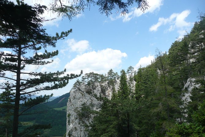 4-Hour Private Alpine Great George at High Wall Mountain from Vienna - Entering Hohe Wand Nature Park, right from Vienna