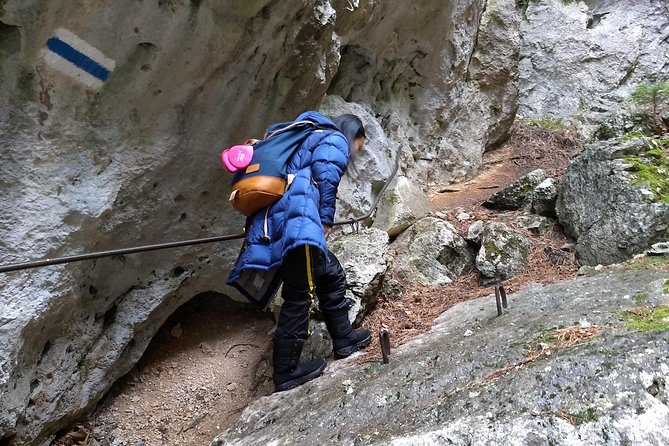 4-Hour Private Alpine Great George at High Wall Mountain from Vienna - The Great Gorge hike: ladders, rock formations, and calmer canyons