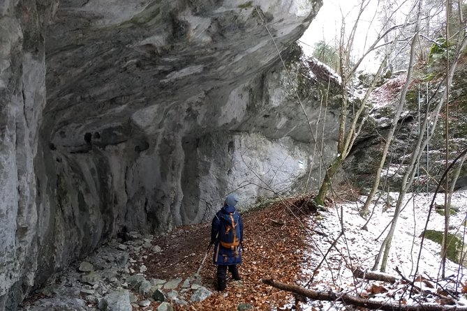 4-Hour Private Alpine Great George at High Wall Mountain from Vienna - Stop at Naturpark Hohe Wand: what the day feels like in motion
