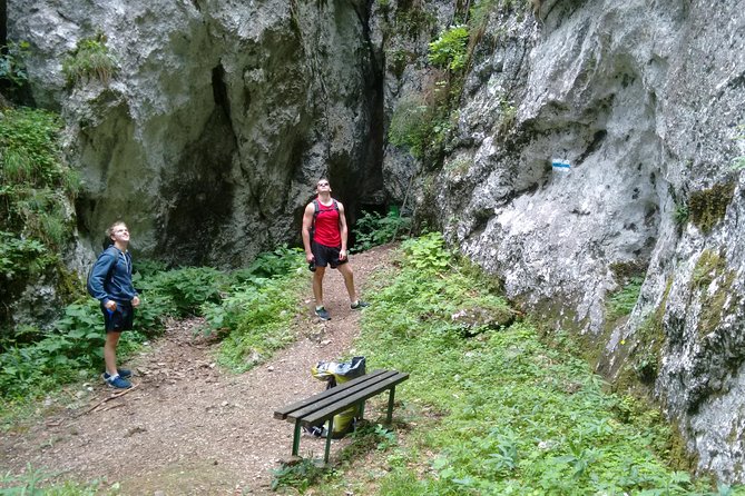4-Hour Private Alpine Great George at High Wall Mountain from Vienna - Price and logistics: $277.87 per person, and what you actually get