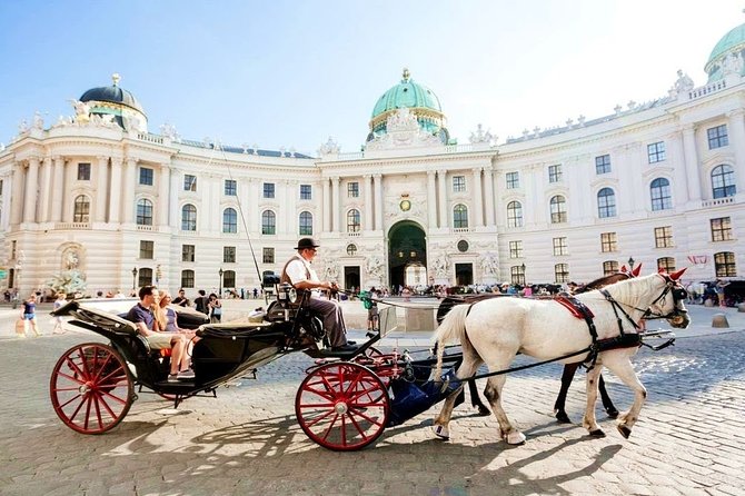 Airport Transfer: Vienna to Vienna Airport VIE by Luxury Van - What the Published Feedback Emphasizes