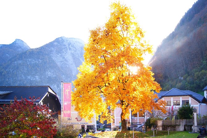 Alpine Hallstatt Day Trip from Vienna incl. Admont Abbey Visit - Hallstatt Lakefront Walk: Half-Timbered Streets, Market Square, and Iconic Views