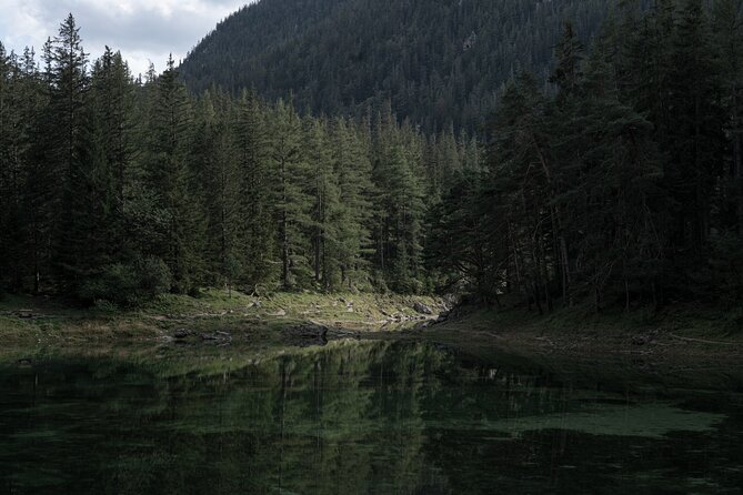 Alpine Recharge: Private Nature Walk at Green Lake & Scenic Views - Stop 4, back to Vienna in comfort with Wi-Fi time