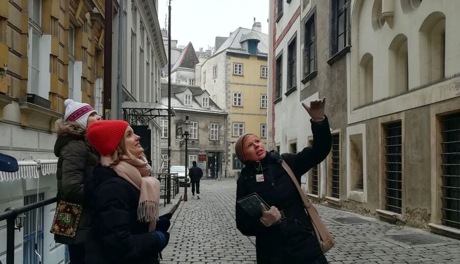 An Introduction to Vienna Walking Tour - The Ringstraße stroll, power palaces and luxury hotels