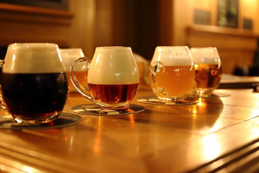 Austrian Beer Tasting and Self-Guided Tour of Vienna - Why the $11 Price Can Still Be Great Value