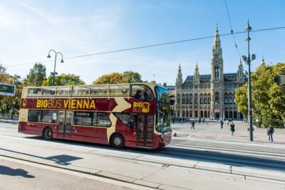 Best of Vienna Pass: Schönbrunn, Belvedere, Big Bus & Cruise