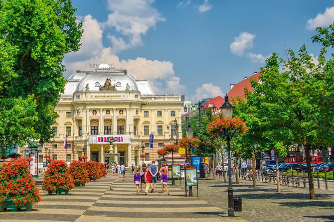 Bratislava Small-Group Day Trip from Vienna with Walk & Lunch - Vienna to Bratislava by bus: what that unescorted ride really means