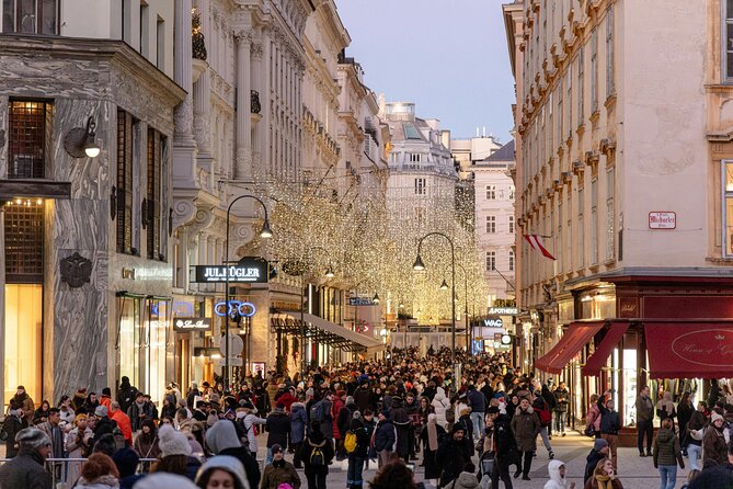 Christmas Walk Vienna : 5 Markets & Old Town in 3h (EN/DE) - Stop 5: The Hofburg for downtown highlights and entertaining stories