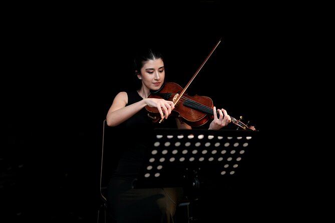 Concert at House of Music Vienna: Mozart, Strauss & the Masters - The practical side: mobile ticket, friendly staff, and easy arrival
