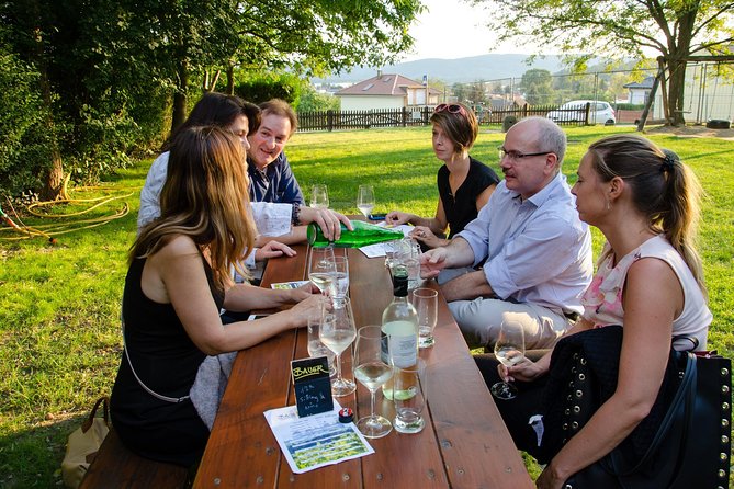 Countryside Half Day Wine Tour near Vienna - Key highlights worth planning around