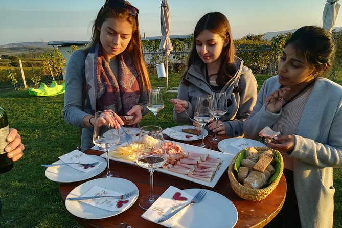 Countryside Half Day Wine Tour near Vienna - What you can learn from the winemakers