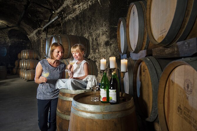 E-Bike Wine Culture Tour - Who should book this e-bike wine culture tour