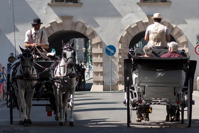 Exclusive Vienna Old Town Highlights Walking Tour (max. 6 persons) - Finding Your Guide at Albertinaplatz (It Actually Works)