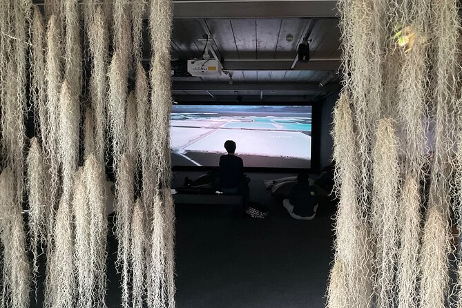 Exploring contemporary art: Private tour of museums with Tickets - Starting at Belvedere 21: Post-War Austrian Art With Context