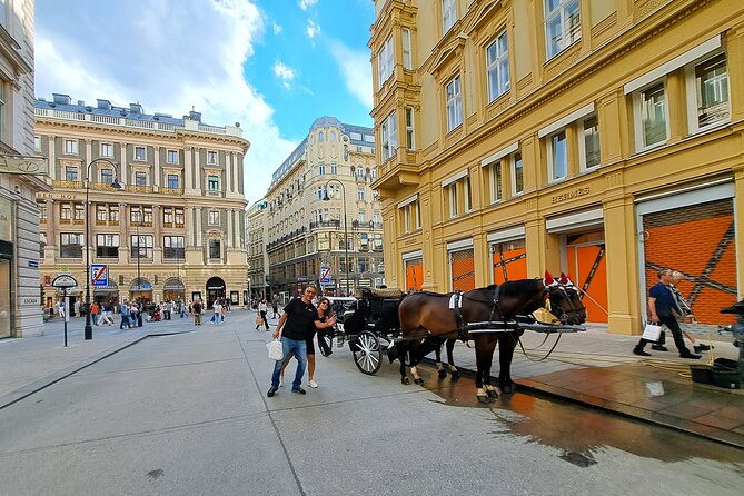 Fall in Love with Vienna in 4h: Hidden Gems- Group Tour - Stephansdom, Figlmüller, and the classic Vienna rhythm