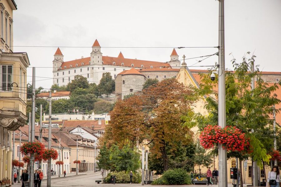 From Vienna: Bratislava Day Trip - Price and value: what you are paying for at $123