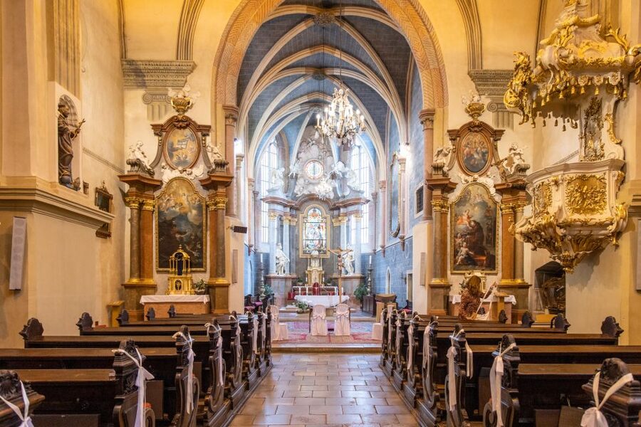 From Vienna: Bratislava Day Trip - Who this Bratislava day trip fits best