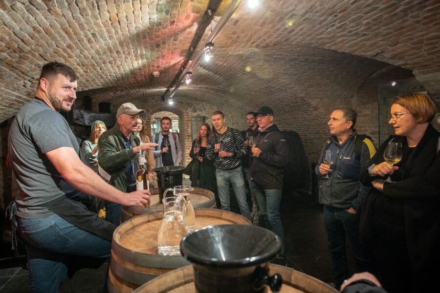 From Vienna: Explore the Tastes of Bratislava on a Day Trip - Should you book this Vienna to Bratislava tastes tour?