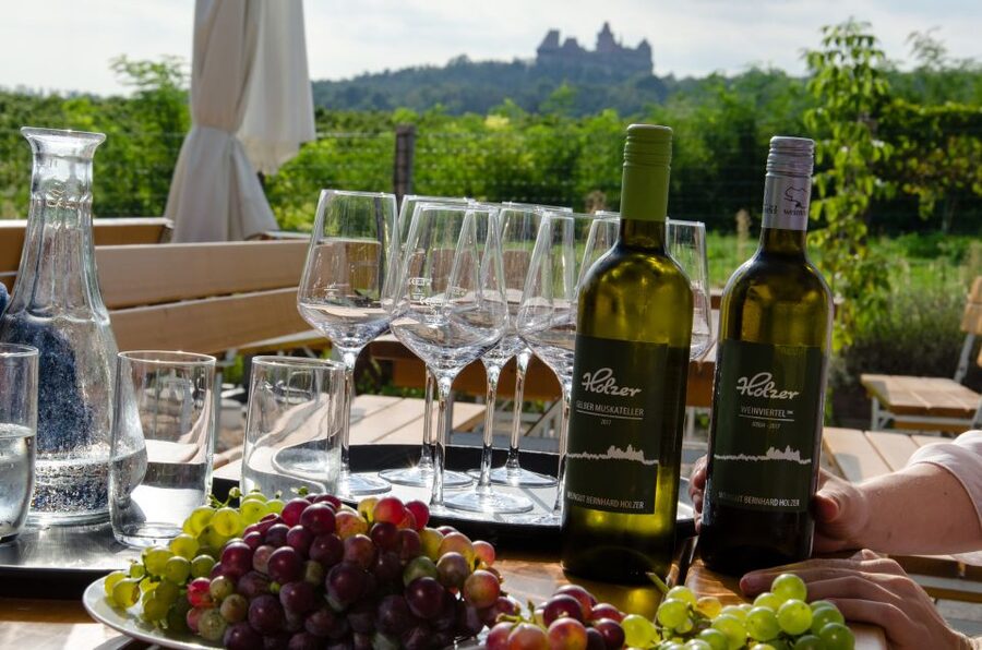 From Vienna: Half-day Countryside Wine Tour with Meal - Two-winery morning flow vs three-winery option