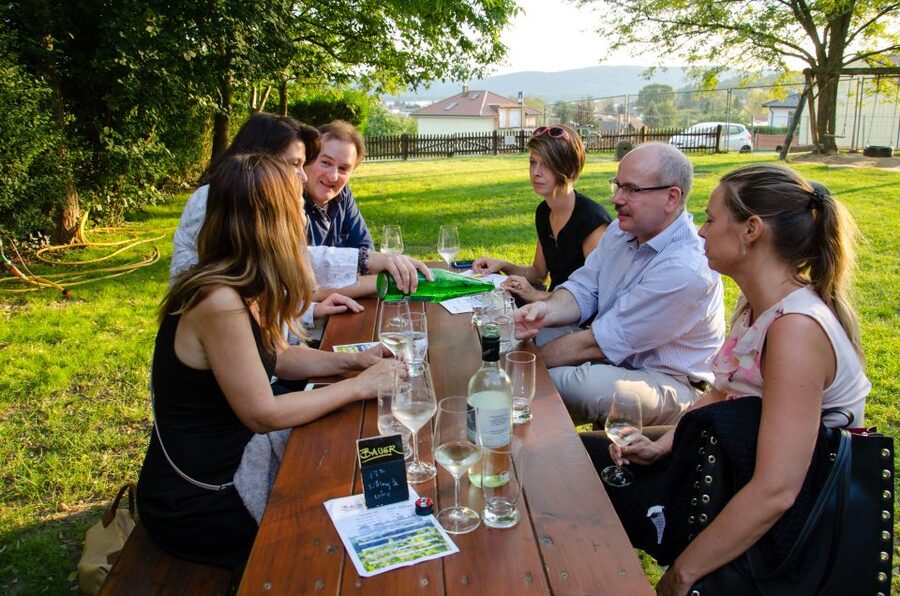 From Vienna: Half-day Countryside Wine Tour with Meal - Who should book this wine tour, and who might not