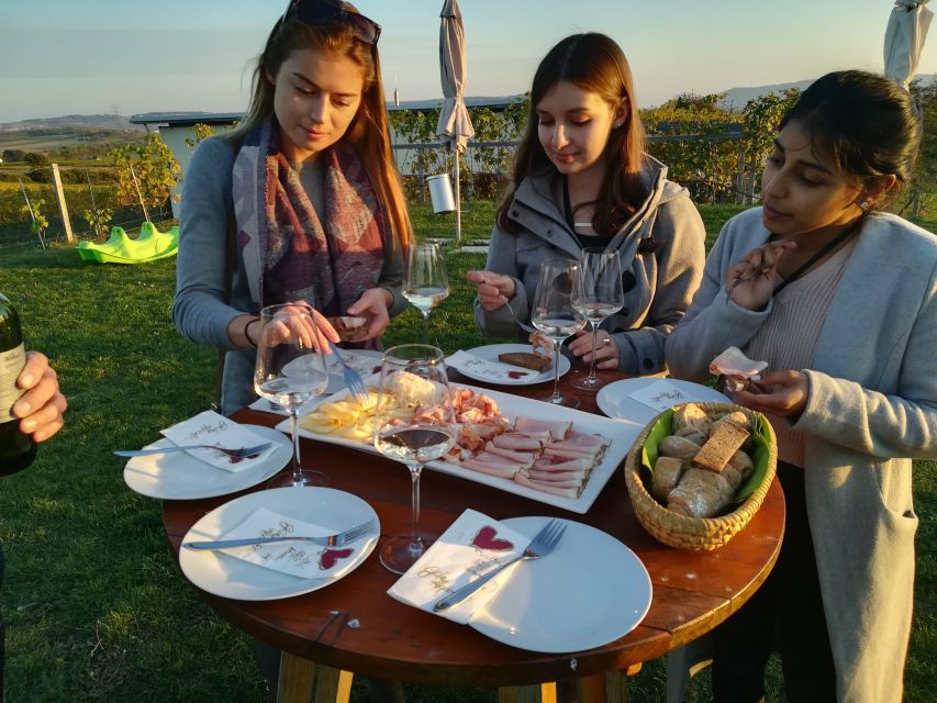 From Vienna: Half-day Countryside Wine Tour with Meal - Should you book City & Wine’s Vienna countryside wine tour?