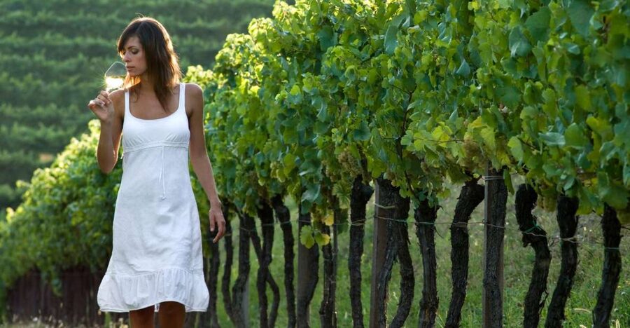 From Vienna: Half-day Countryside Wine Tour with Meal - Vienna pickup and the air-conditioned minibus briefing