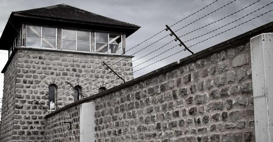 From Vienna: Mauthausen Memorial Private Day Trip - Getting there: private pickup, comfort, and a steady English-speaking presence