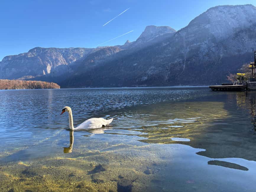 From Vienna: Traunkirchen, Hallstatt & Salzburg Day Trip - Mozart’s Birthplace and The Sound of Music Spots: Photo Moments Done Right