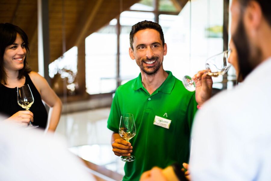 From Vienna: Wachau Valley Day Tour with Wine Tasting - Weißenkirchen lunch break: what this stop is really for