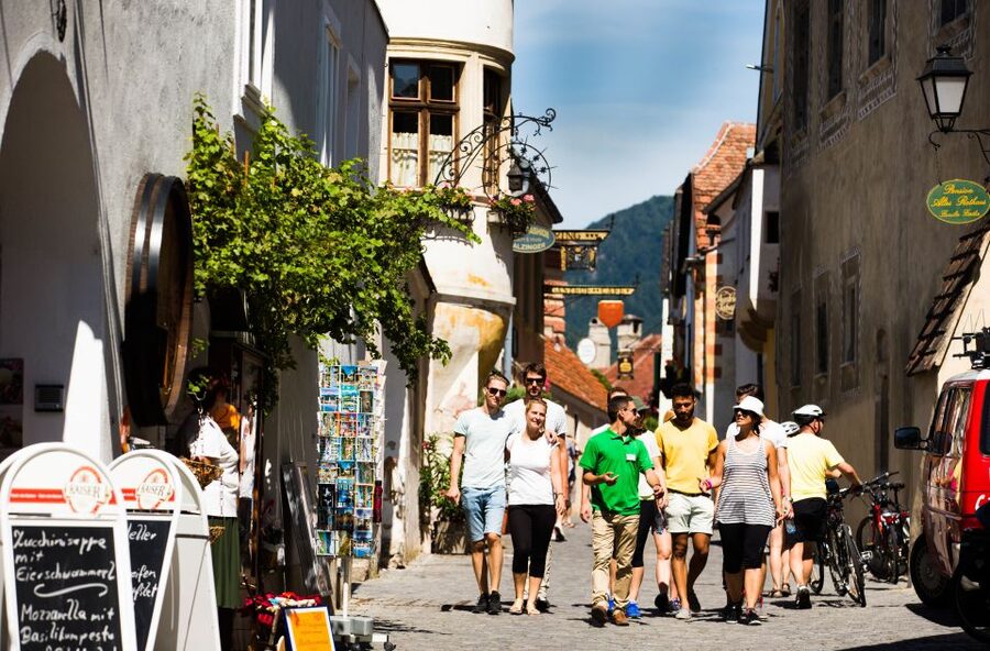 From Vienna: Wachau Valley Day Tour with Wine Tasting - Spitz wine tasting: where the Danube cruise starts to feel real