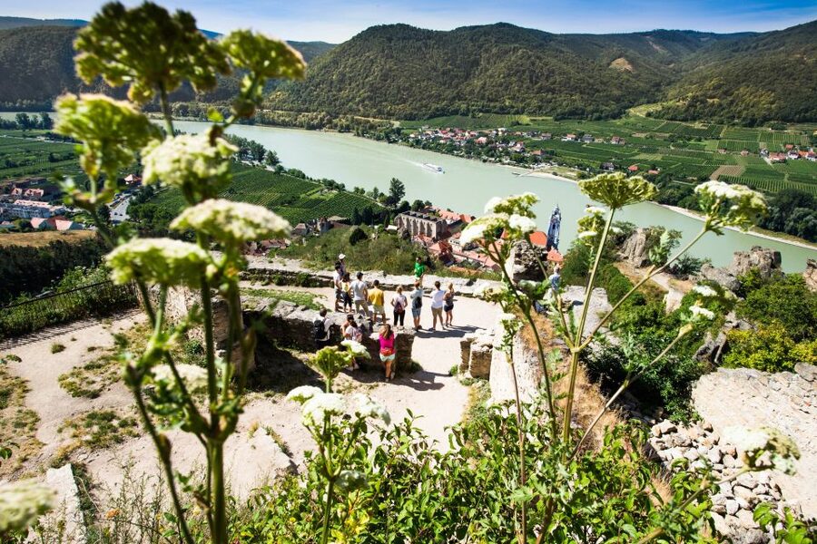 From Vienna: Wachau Valley Day Tour with Wine Tasting - What you actually learn from the tastings (not just what you drink)