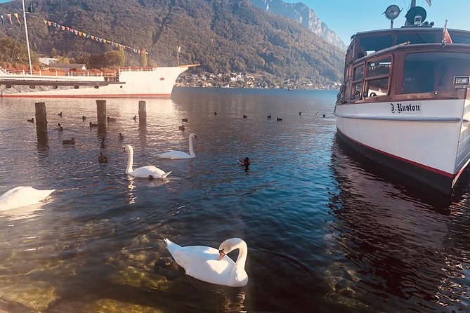 Fully private - SALZBURG, HALLSTATT & MELK ABBEY! - Why this private Hallstatt, Salzburg, and Melk Abbey day works from Vienna