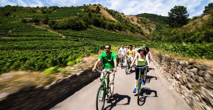 Grape Grazing: Wachau Valley Winery Biking Tour - Why Grape Grazing in Wachau Beats a Standard Wine Trip