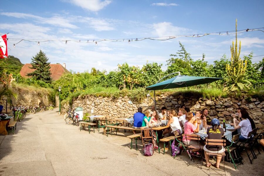 Grape Grazing: Wachau Valley Winery Biking Tour - Guides Make the Day: Stories, Safety, and Wine Talk