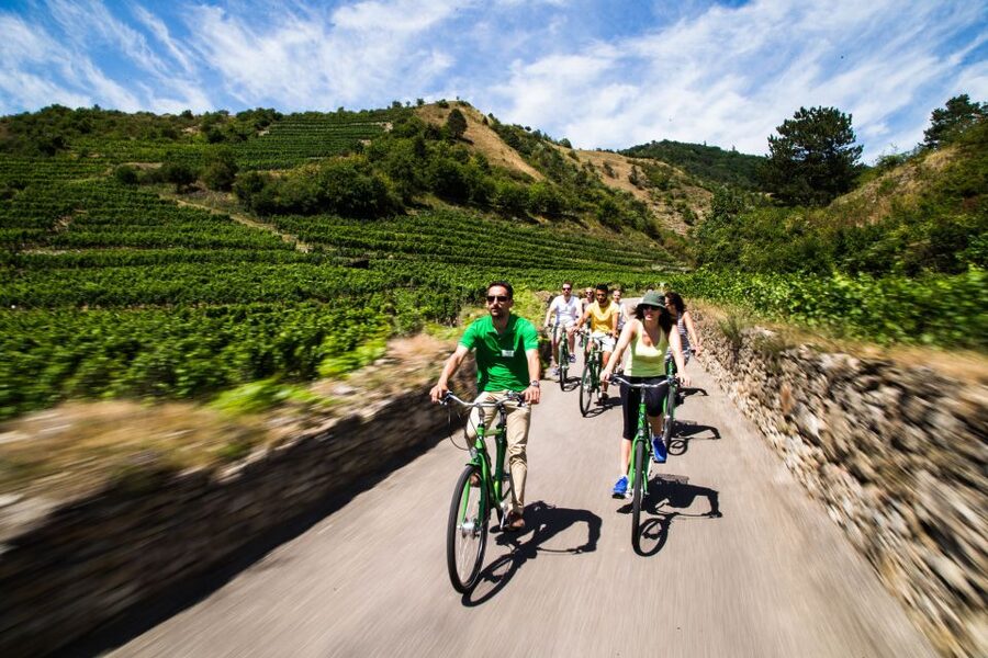 Grape Grazing: Wachau Valley Winery Biking Tour - Dürnstein UNESCO Time: Wine, Lunch, and the Castle Angle