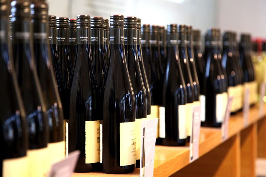 Grape Grazing: Wachau Valley Winery Biking Tour - Lunch in a Family Tavern: The Extra €17 Detail You Should Not Miss