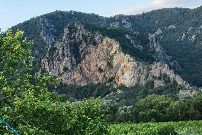 Half-Day Private Wachau Valley Tour from Vienna - Dürnstein castle ruins hike and Richard Lionheart valley views