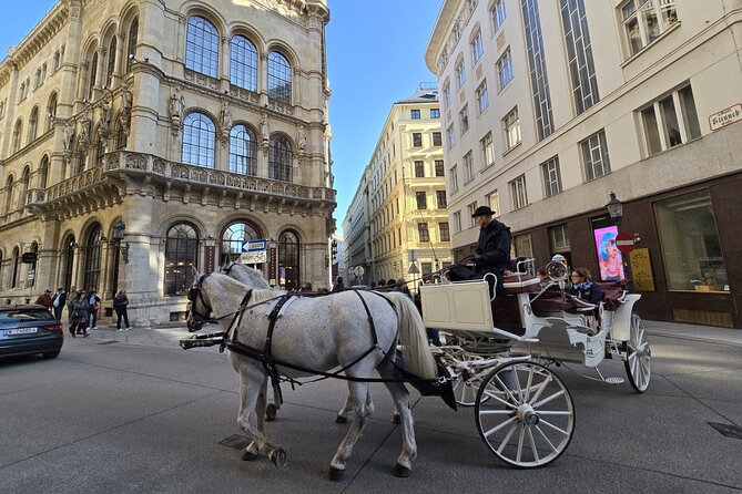 Highlights of Vienna in a Historical & Cultural 3h Walking Tour - St. Stephen’s Cathedral and Vienna’s medieval core in one stop