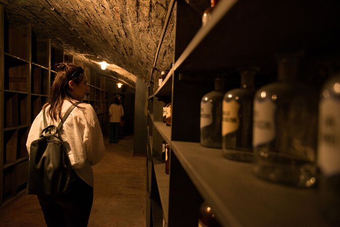 Historical Pharmacy Cellar Guided Tour - What the guide actually adds (Julius, humor, and clear explanations)